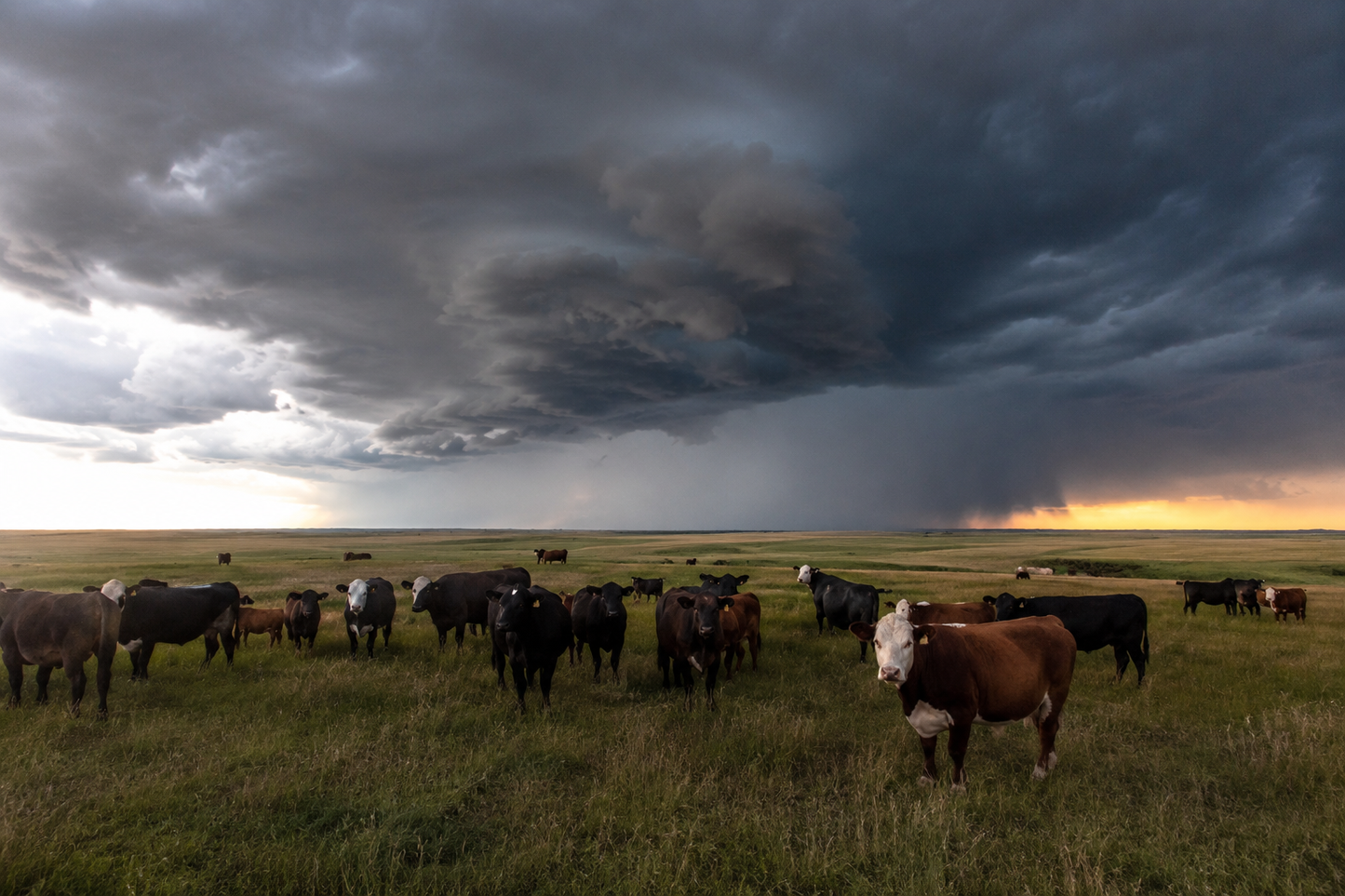 Prairie Storms