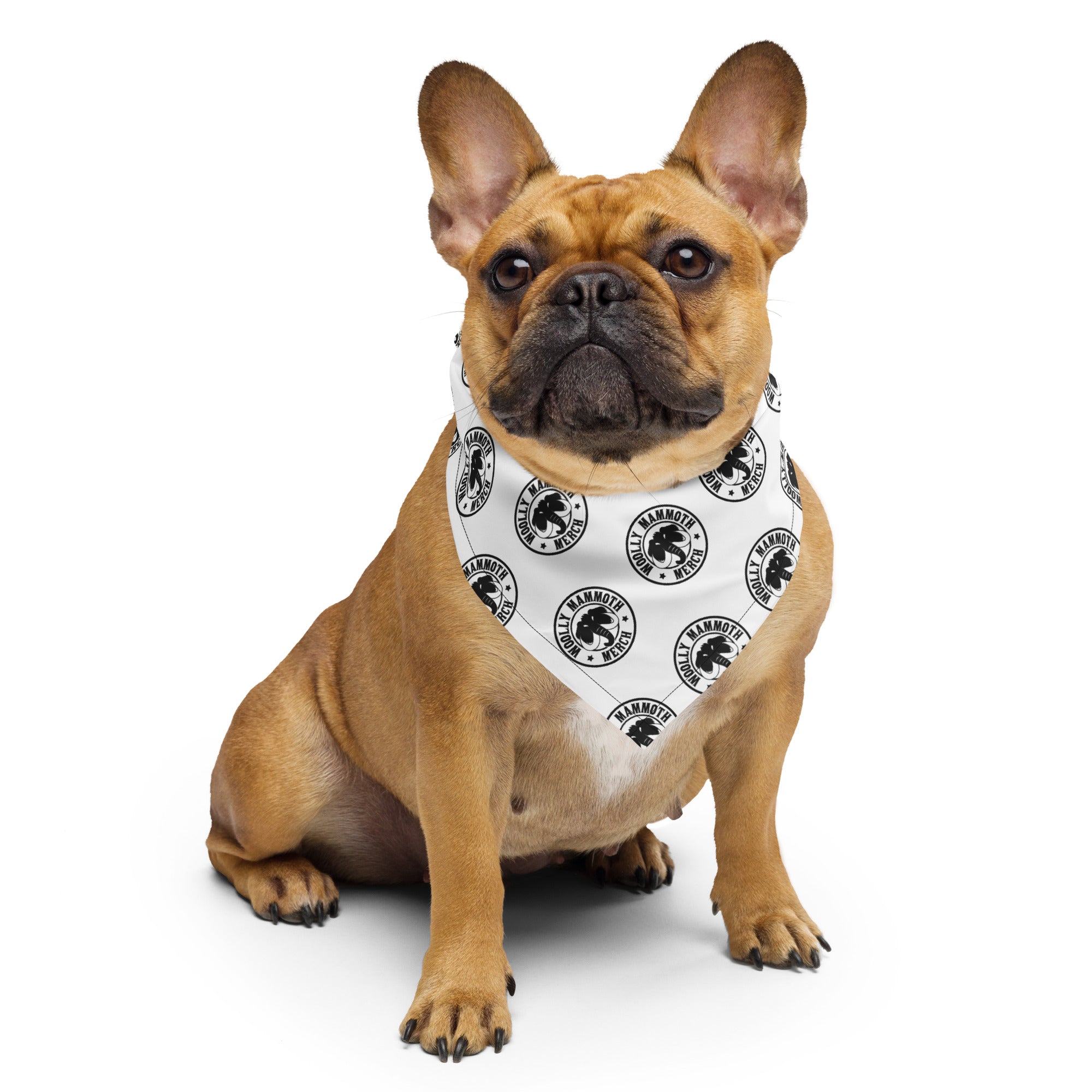 Bulldog hotsell with bandana